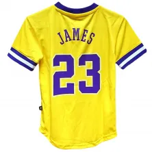 CAMISETA PRINTED VNK MESH LEBRON JAMES LAKERS