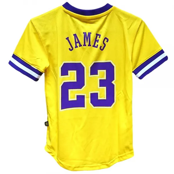 CAMISETA PRINTED VNK MESH LEBRON JAMES LAKERS