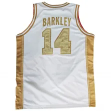 CAMISETA NIKE DREAM TEAM CHARLES BARKLEY USA DORADA