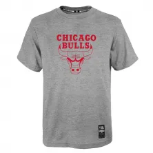 CAMISETA ZACH LAVINE CHICAGO BULLS - BY THE NUMBERS