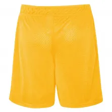 SHORT LOS ANGELES LAKERS BALL UP - LEBRON JAMES - OUTERSTUFF