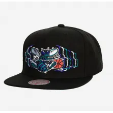 Gorra Charlotte Hornets - Mitchell and Ness Team Vibes