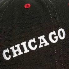 Gorra Curva Chicago Bulls Overbite Pro HWC