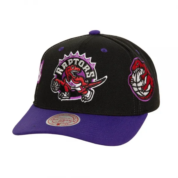 Gorra Curva Toronto Raptors Overbite Pro