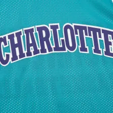 Camiseta Reversible Charlotte Hornets NBA Mesh vintage logo