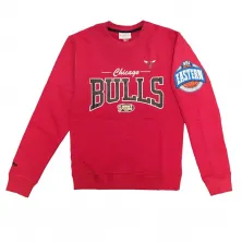 Sudadera Chicago Bulls "NBA There and Back" estilo retro vista detalle